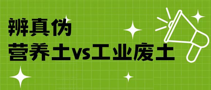营养土 vs 工业废土，教你辨真伪